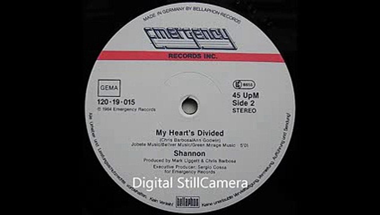 Shannon - My Heart's Divided