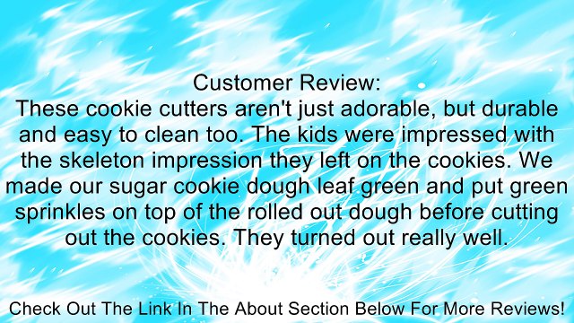 Fred and Friends DIG-INS Dinosaur Fossil Cookie Cutter/Stampers, Set of 3 Review