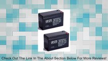 12V 7AH BATTERY 6-DW-7 12V 7AH 10hr SHAOXING HUITONG REPL - 2 Pack Review