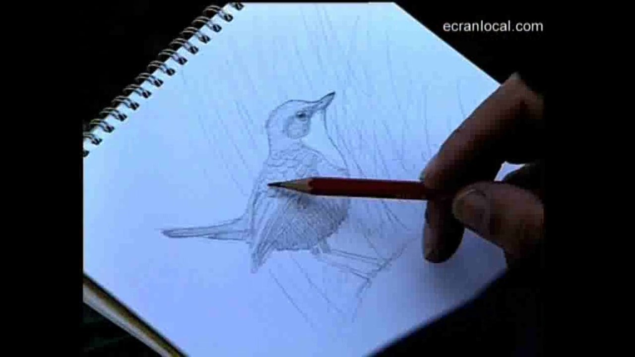 ÉTHOLOGIE : L'homme qui fait des photos avec son crayon