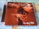 Children of Bodom : Présentation de Something Wild