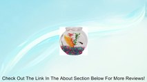 Tom Aquatics 1/2 Gallon Flat-Sided Plastic Fish Bowl Review