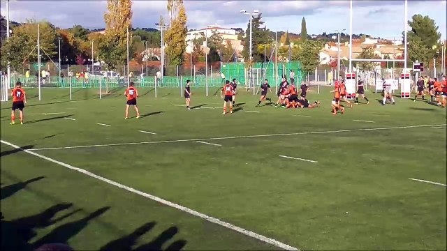 141116 PARC NARBONNE daily