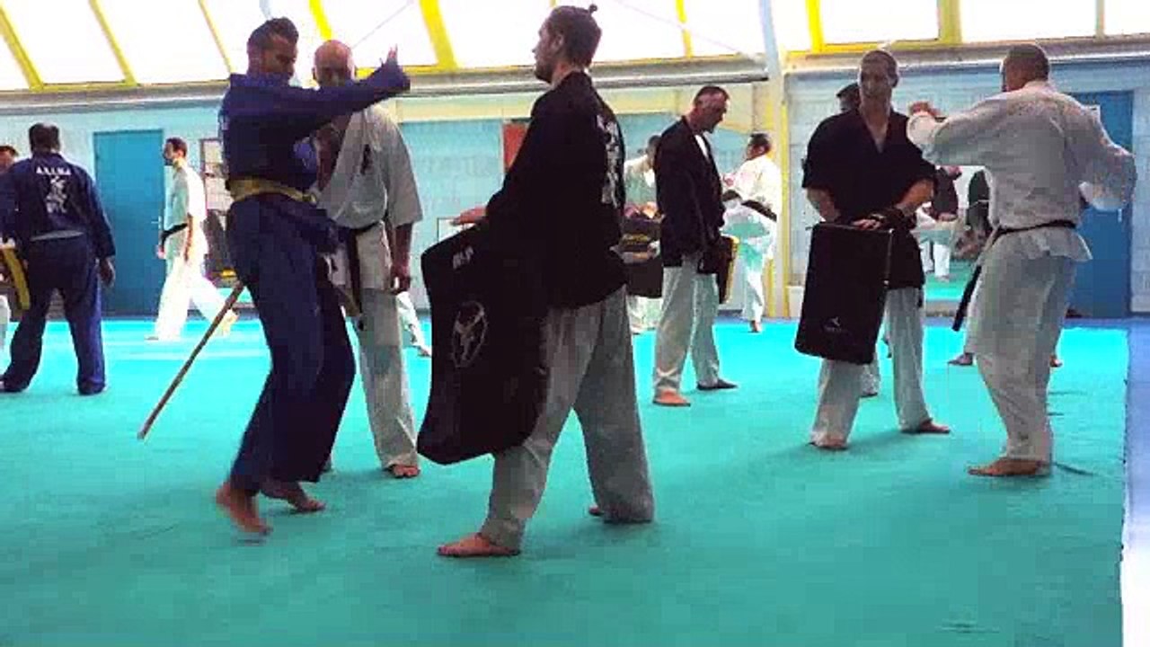 Stage Kyokushin-kempo 22/11/14