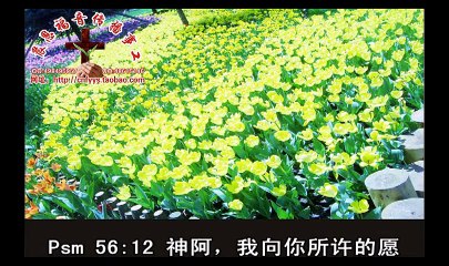《和合本圣经视频》25b 诗篇2