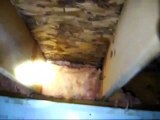 The Home Inspectors Dayton Reveal Crawlspace Issues