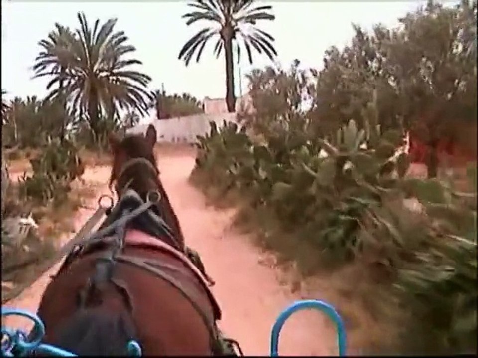 Tunisie n°2