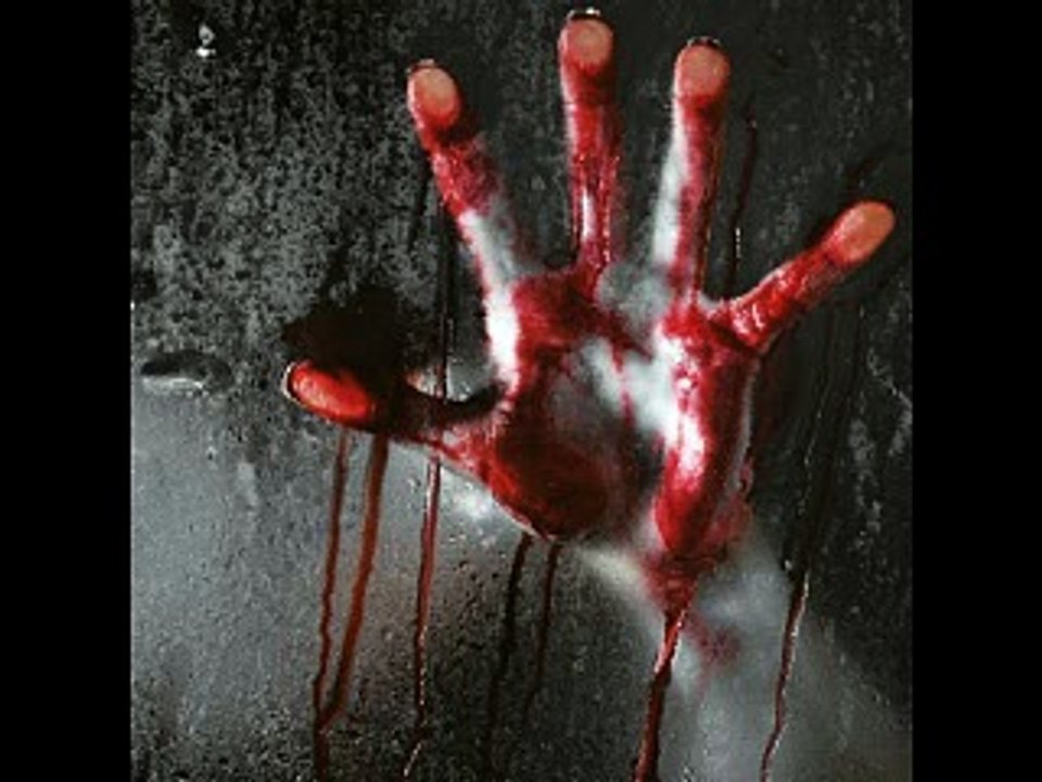 ////**---TeRRoR BeAr ---**////