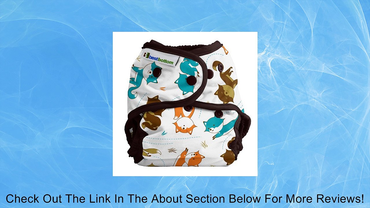 Best Bottom Cloth Diapers - Snap Review