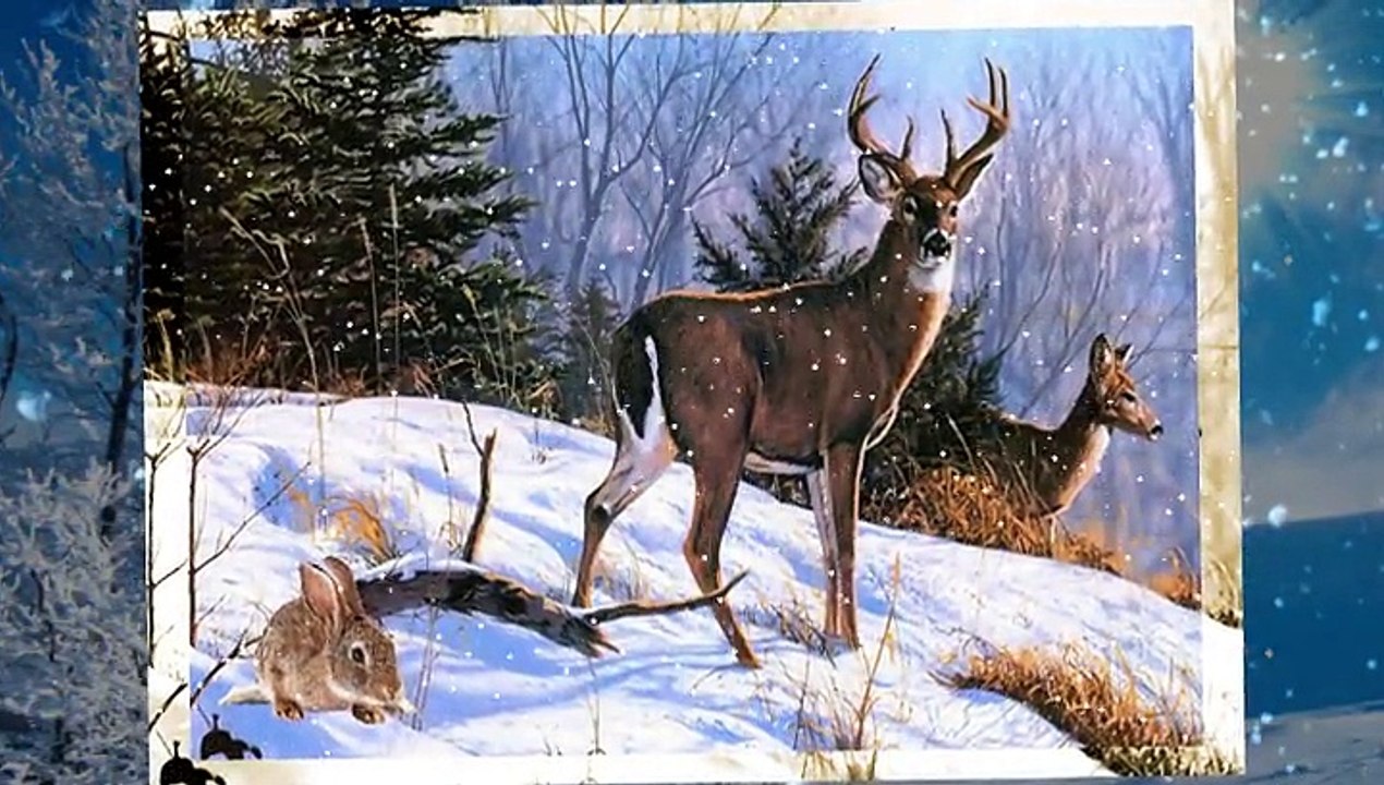 Bajecznie Zimowa Piosenka - Universe