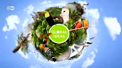 Sudáfrica: loritos robustos | Global 3000