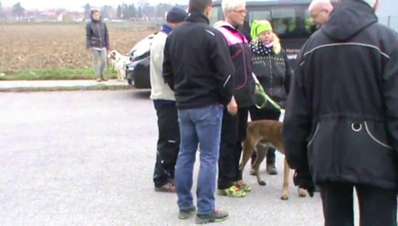 Be Aware F'Stiegl @ BH-Prüfung (Verkehrsteil)