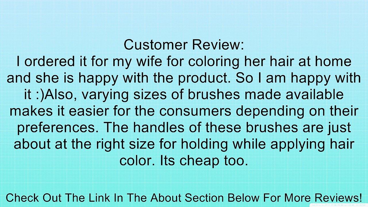 Hairdressing Salon Hair Color Dye Bowl Comb Brushes Kit Set Tint Coloring Bleach Review
