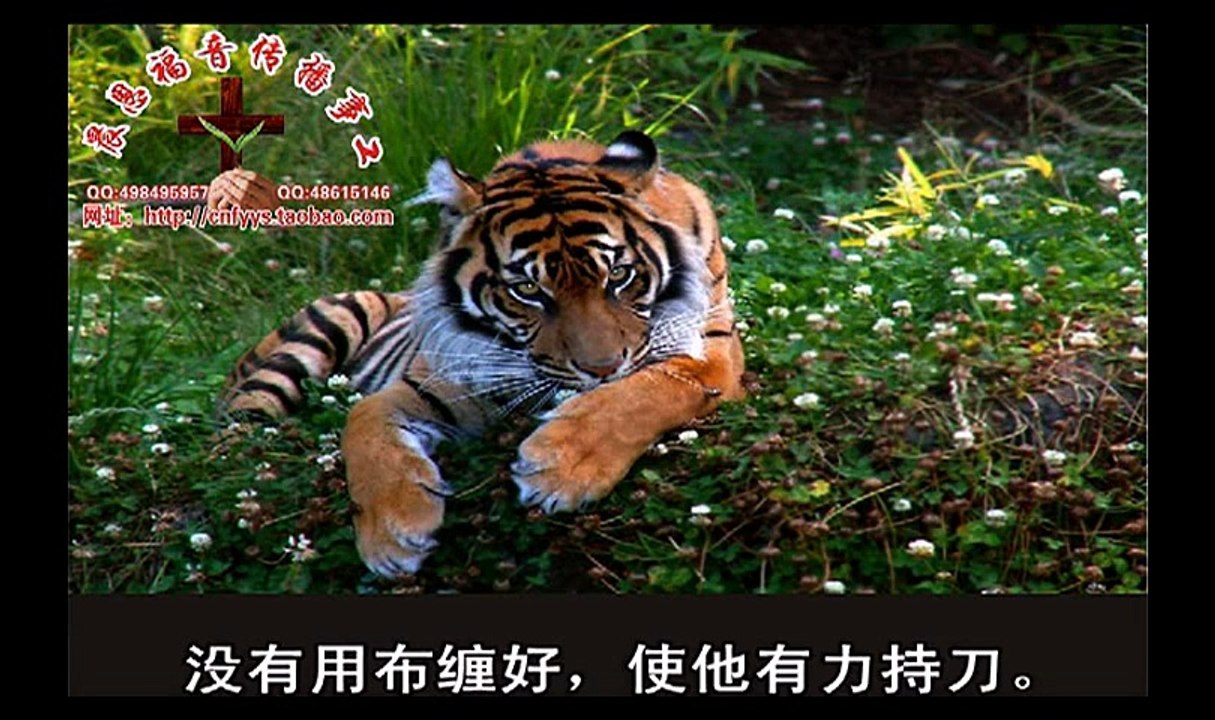 《和合本圣经视频》40a 以西结书2