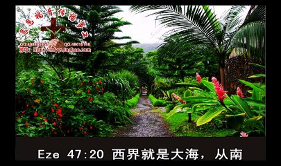 《和合本圣经视频》40c 以西结书2