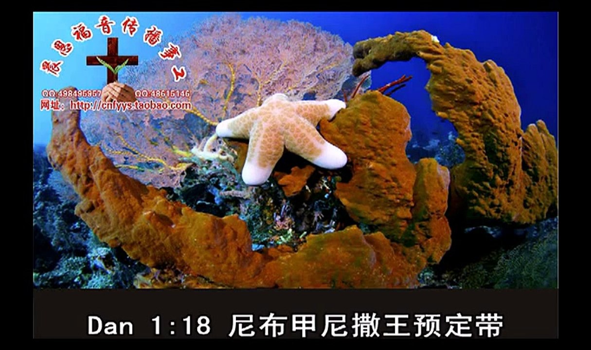 《和合本圣经视频》41a 但以理书