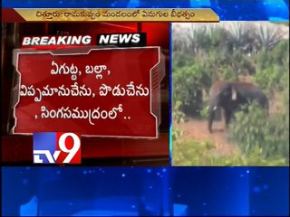 Elephants on rampage in Chittoor