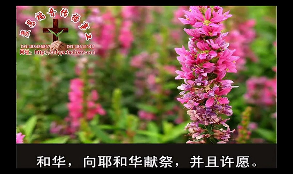 《和合本圣经视频》46 约拿书