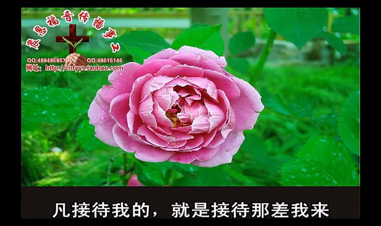 《和合本圣经视频》56b 路加福音