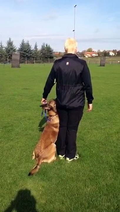 Be Aware F'Stiegl @ Obedience-Training