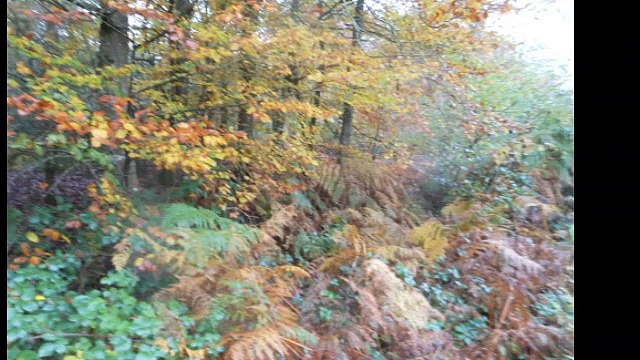 RANDO TRAIL AU MOULIN DU BOËL AU FIL DE L'EAU AU LONG DE LA VILAINE avec MARIO