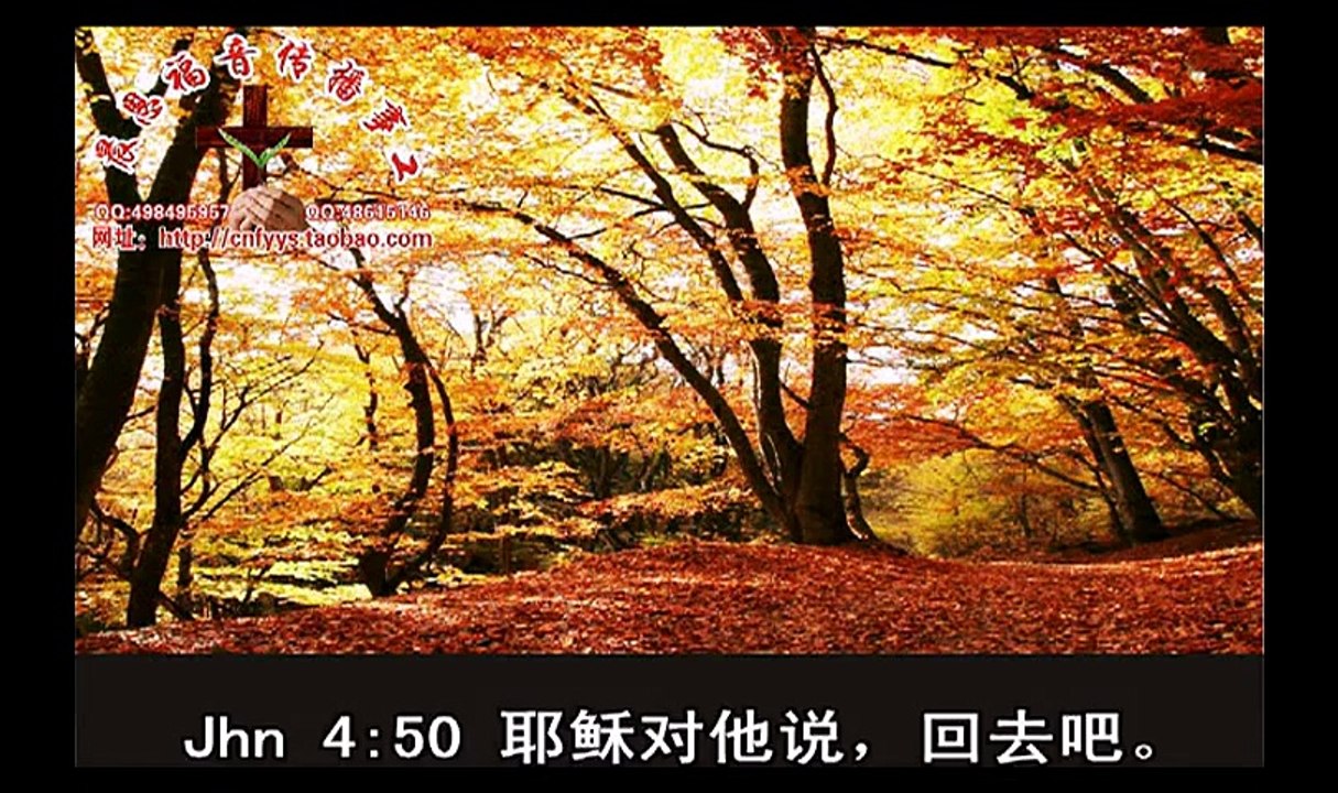 《和合本圣经视频》57a 约翰福音