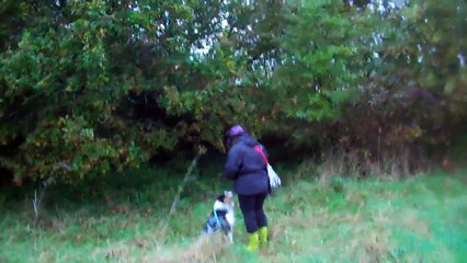 parcours de niveau 1 zone de départ vent de dos avec un aussie