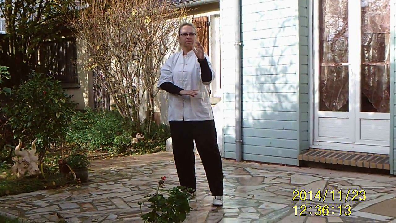 1er duan yangjia michuan taichi chuan