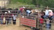 Jaripeo Extremo De Rancho Valientes Jinetes Montan Toros Salvajes De A Grapa A Pelo Espuela Libre Noviembre 2014 Michoacan