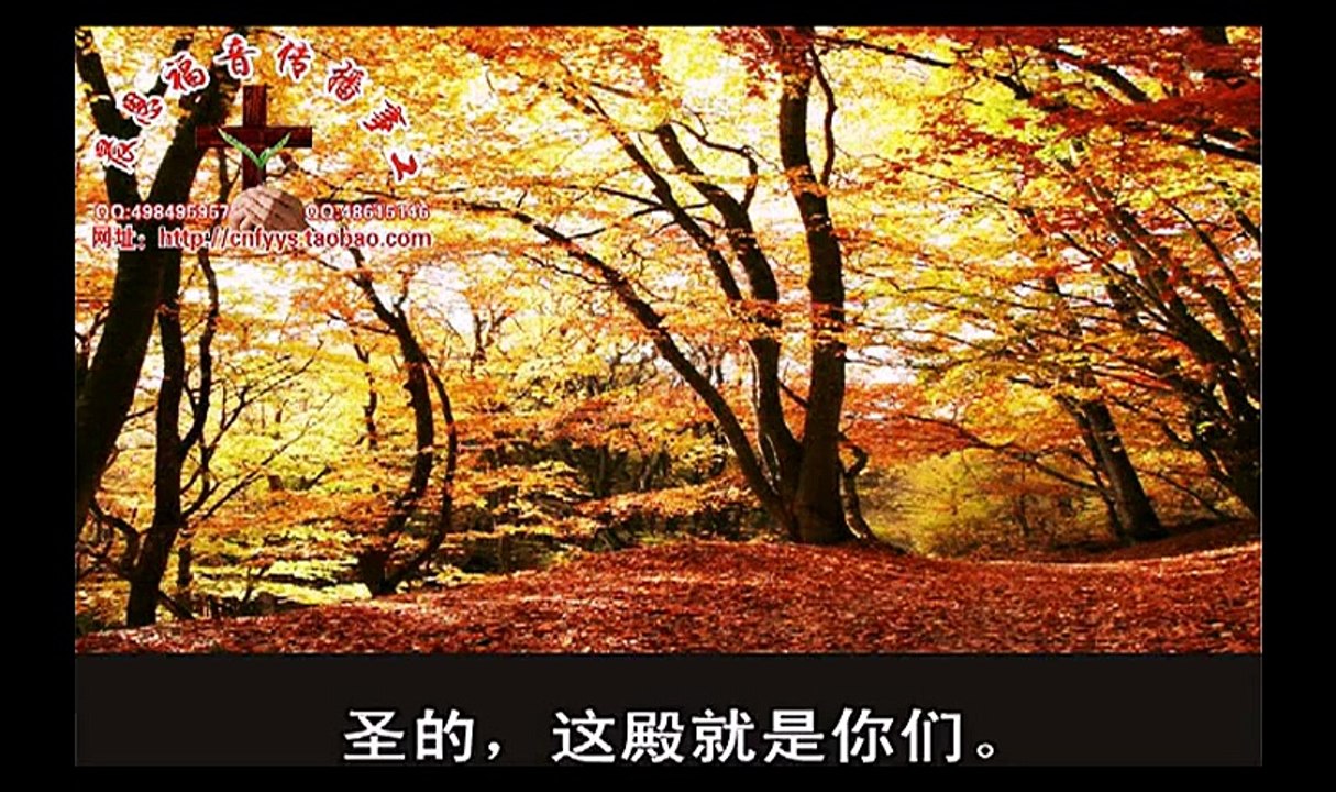 《和合本圣经视频》60a 哥林多前书