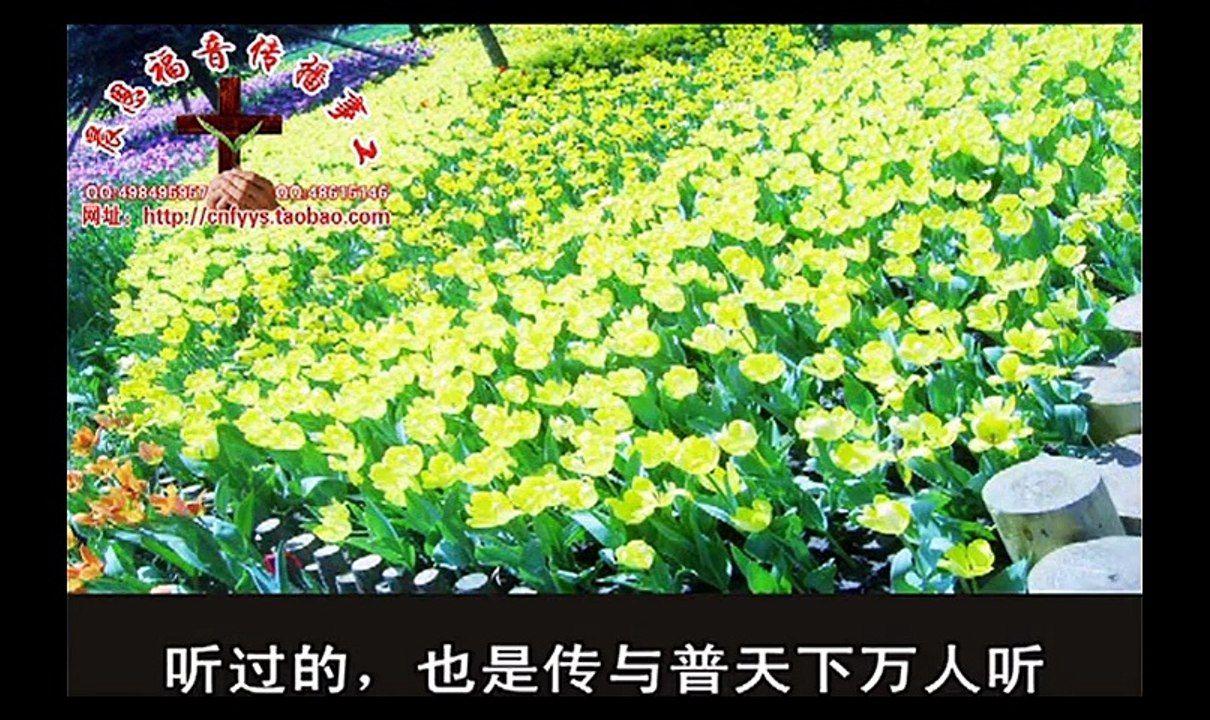 《和合本圣经视频》65 歌罗西书
