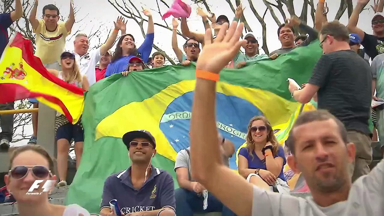 F1 2014 - Round 18 - Brazilian Grand Prix Official Race Edit (HD)