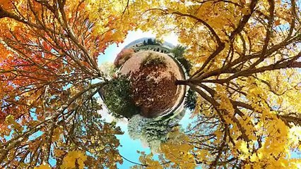 Trick Photography Book Review Plus a Discount