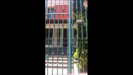 Irmã Sílvia Fonseca - Inspetoria Madre Mazzarello BH