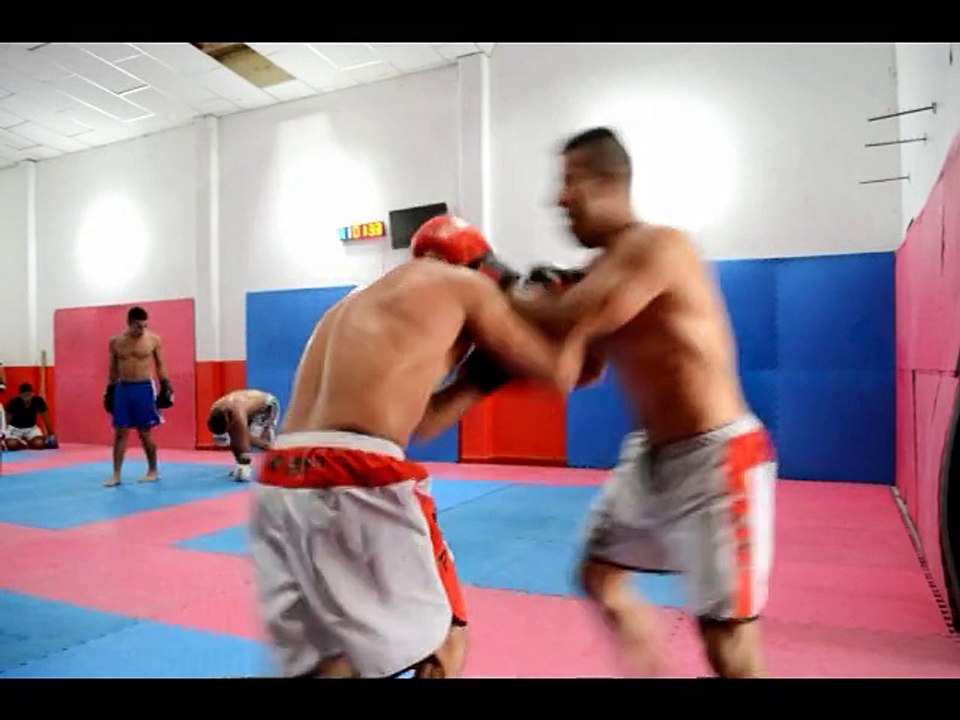 mma leones en desarrollo