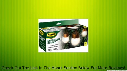 Hanging Solar LED Lights Review
