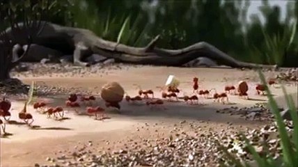 A união faz a força!