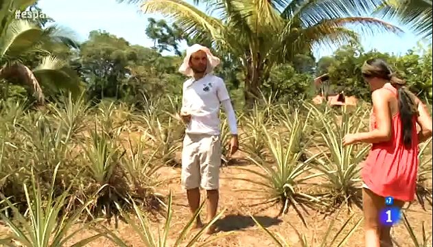 Españoles en el mundo - Puntarenas (Costa Rica)