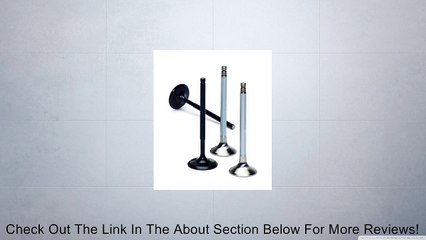 Supertech Valves - INTEGRA - - - HEVI-1000 - B17A1 Review