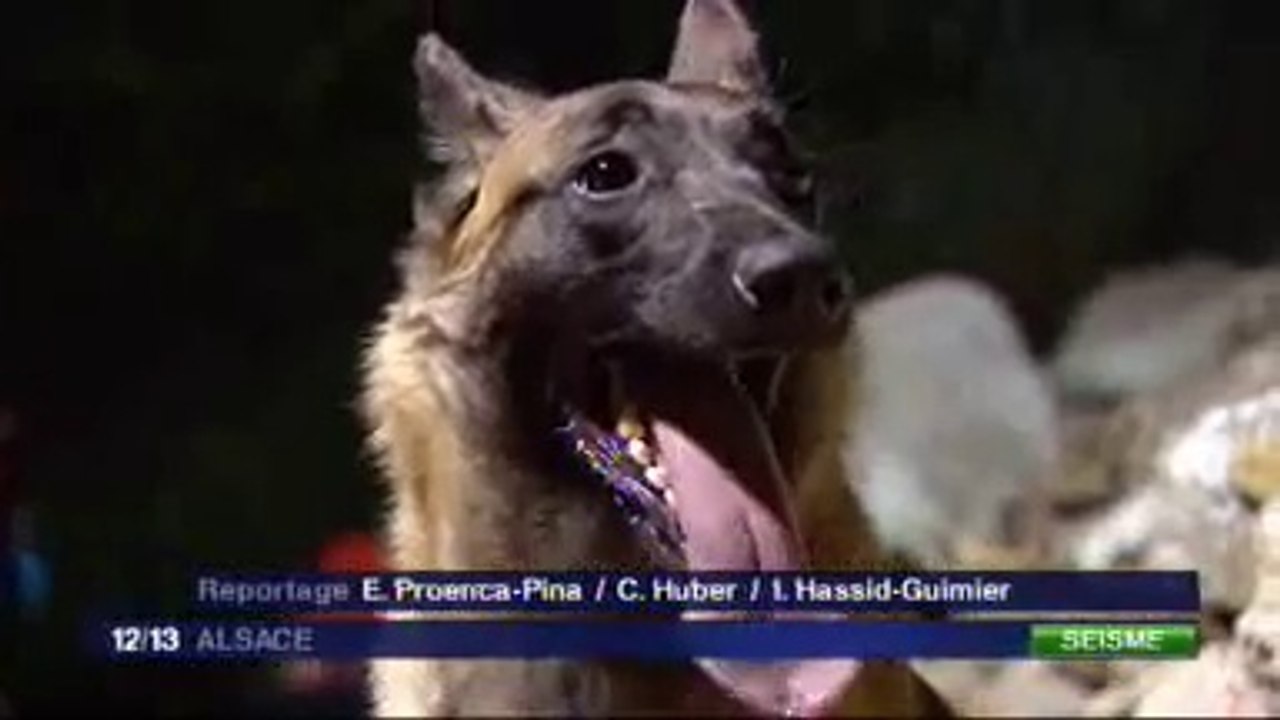 FR3-Dorlisheim : des secours en exercice (Exercice Franco-Allemand)