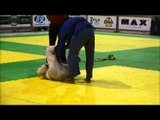 Melhores momentos das finais do Campeonato Brasileiro de Jiu Jitsu Profissional