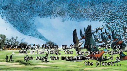 5 Extinct Animals That May Still Roam the Earth