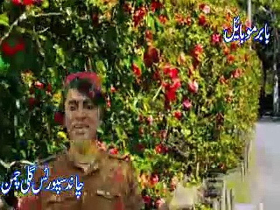 pashto song