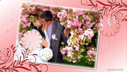 "Розовая свадьба" / "Pink wedding" / Project and styles Proshow Produser