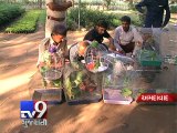 Ahmedabad: Three held for illegal 'wildlife trade' after raid at 'Gujari Bazar' - Tv9 Gujarati