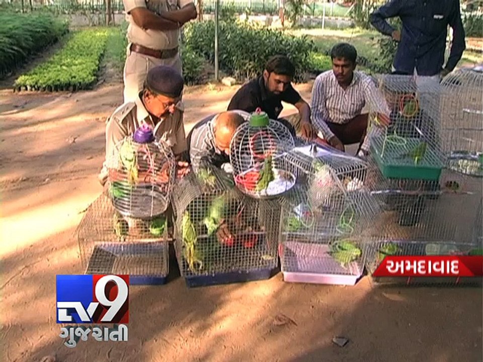 Ahmedabad: Three held for illegal 'wildlife trade' after raid at 'Gujari Bazar' - Tv9 Gujarati