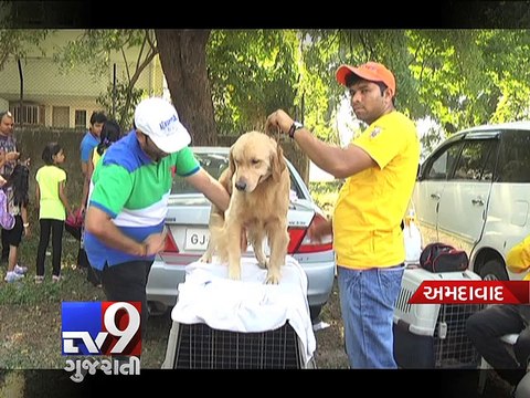 'Dog Show' makes Amdavadis go wow wow! - Tv9 Gujarati
