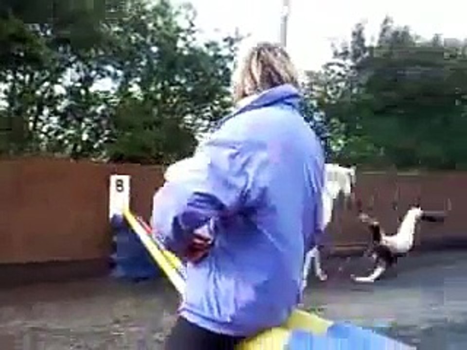 Really Funny Horse Falls!
