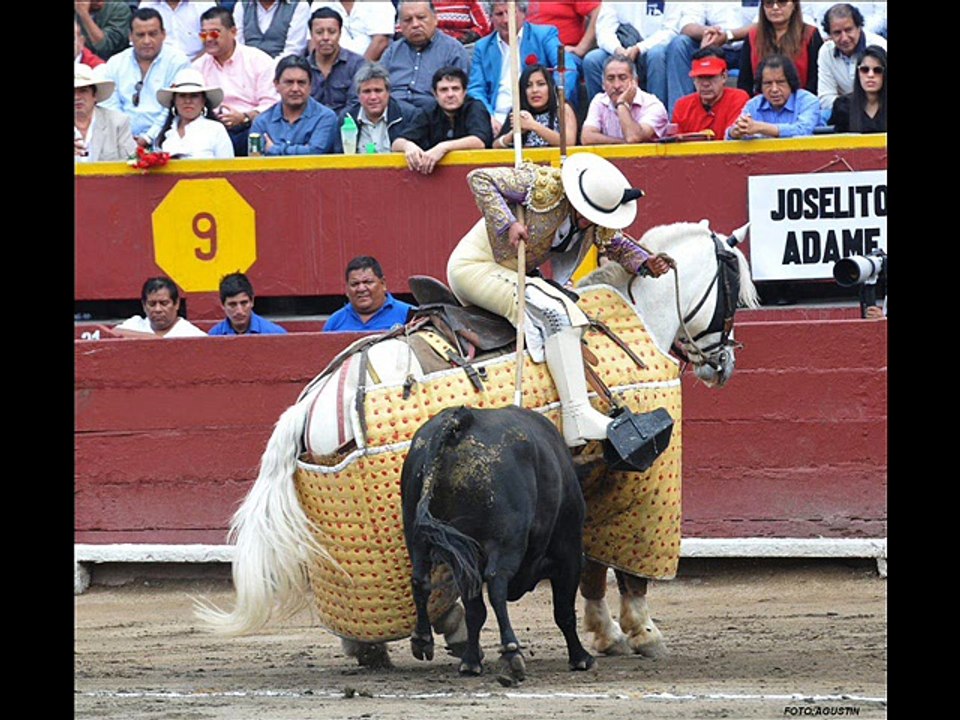 FOTO VIDEO 5ª CORRIDA
