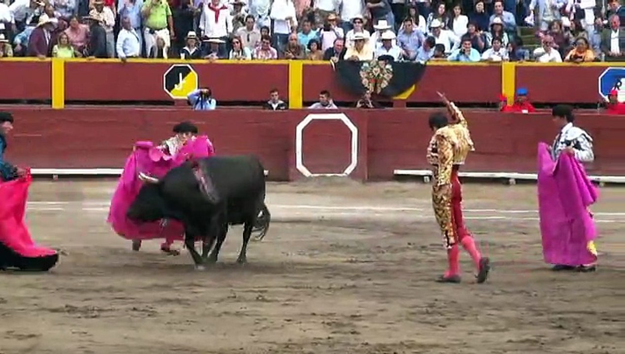 Resumen Acho 23 nov 2014